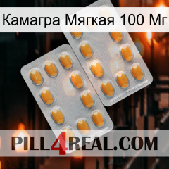 Камагра Мягкая 100 Мг cialis4